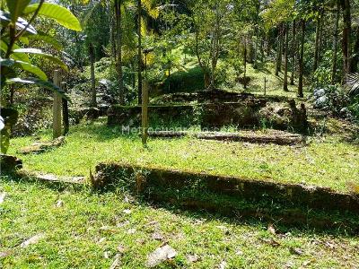 Casa de 5 alcobas en venta en La Doctora, Sabaneta · foto 11 de 20