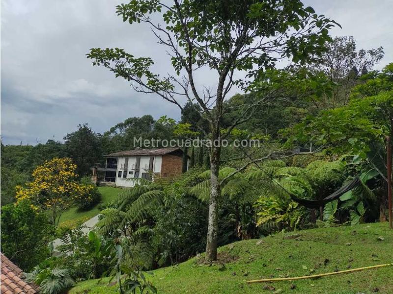 Casa – Envigado, Valle de Aburrá - Vista 3