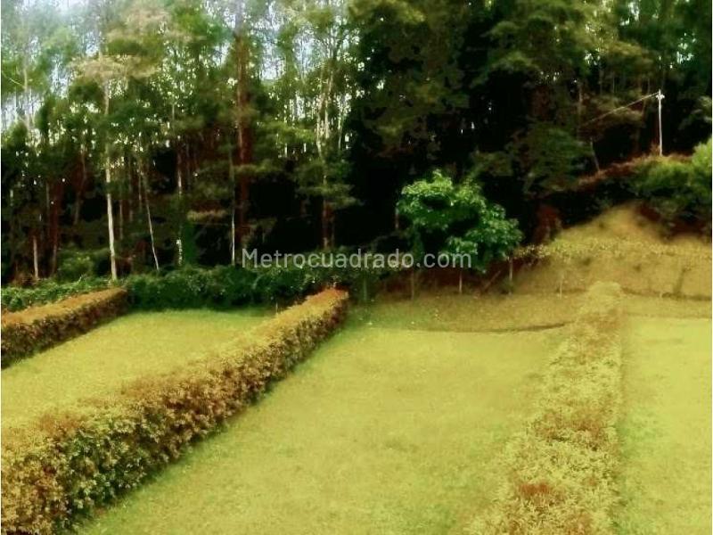 Land in Galicia (180 m²) for Sale - 4