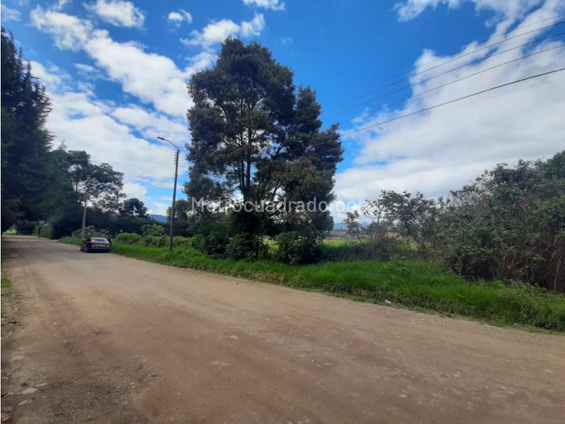 Lote en Venta, Vereda Fusca, Chía - Vista 4