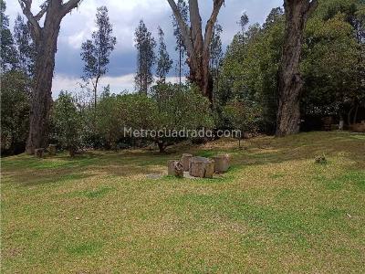 Apartamento de 4 alcobas en venta en Balcones De Lindaraja, Bogotá, 316 m² · foto 14 de 20