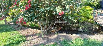 Casa de 5 alcobas en venta en Pance, Cali, 400 m² · foto 18 de 20