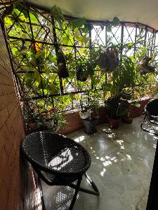 Apartamento de 3 alcobas en venta en Normandia, Cali, 240 m² · foto 18 de 19