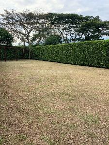 Casa de 4 alcobas en venta en Pance, Cali, 270 m² · foto 17 de 18
