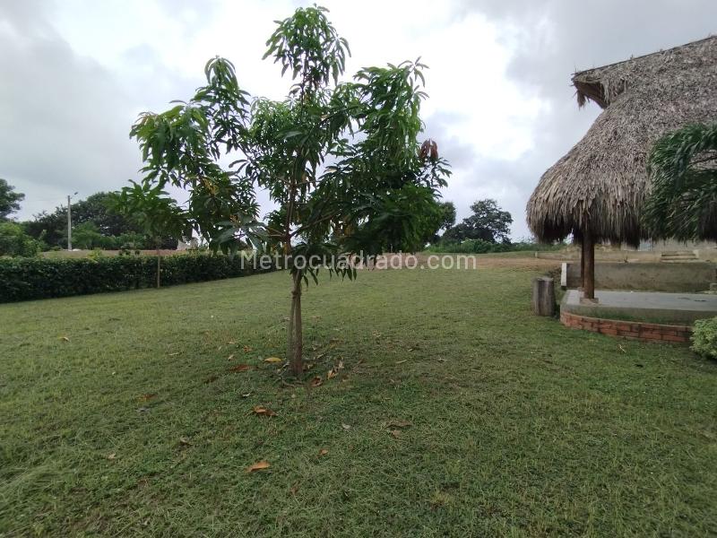 Finca En Venta, Los Farolitos
