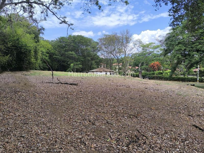 Land in El ESPINAL (12600 m²) for Sale - 2