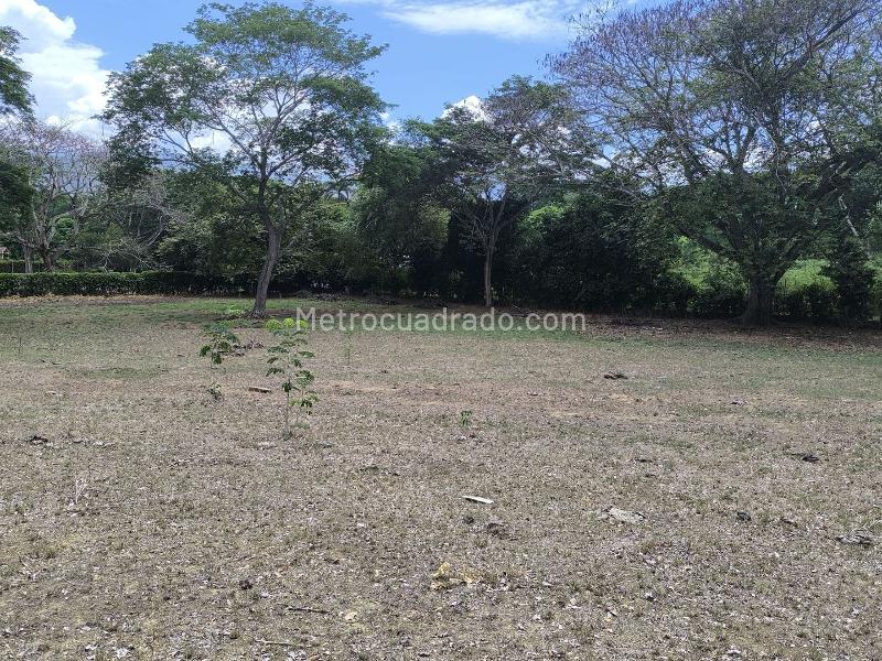 Land in El ESPINAL (12600 m²) for Sale - 3
