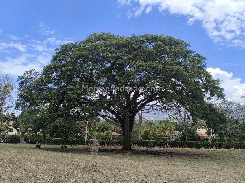 Land in El ESPINAL (12600 m²) for Sale