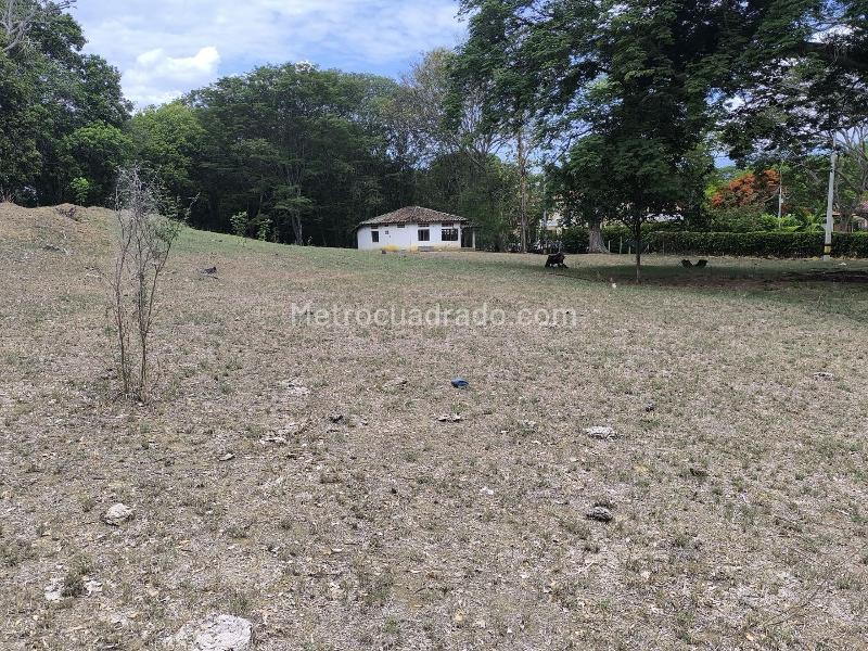 Land in El ESPINAL (12600 m²) for Sale - 4