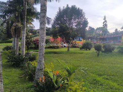 Finca en Arriendo, Vereda Vilachuaga, Rionegro
