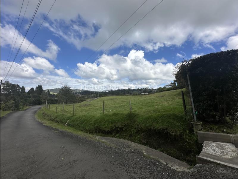 Lote en Venta, Alto De Las Palmas, Envigado - Más
