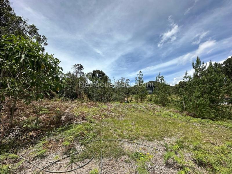 Lote en Venta, Alto De Las Palmas, Medellín - Vista 2