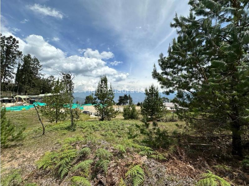 Lote en Venta, Alto De Las Palmas, Medellín - Más
