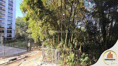 Apartamento de 3 alcobas en venta en Foresta Calambeo, Ibagué, 90 m² · foto 6 de 16