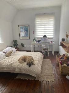 Casa en venta en Quinta Camacho, Bogotá · foto 6 de 20