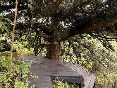 Casa en venta en La Calera, La Calera · foto 8 de 18