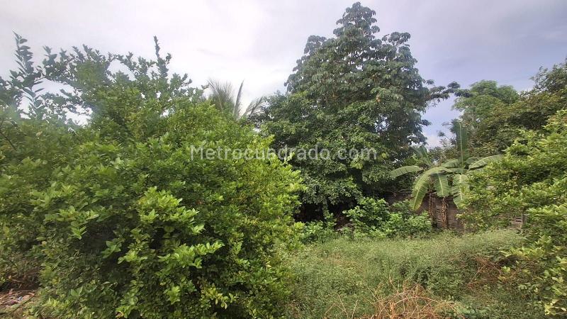 Lote en Venta, CARRIZAL, Barranquilla - Vista 2