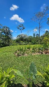 Casa en venta en Condina, Pereira · foto 10 de 19
