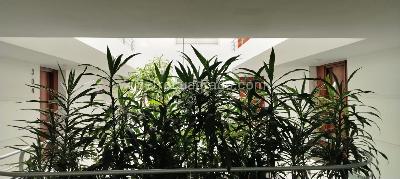 Apartamento en venta en Chico Reservado, Bogotá · foto 12 de 15