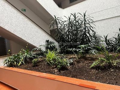 Apartamento en venta en Chico Norte, Bogotá · foto 19 de 20