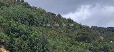 Apartamento de 1 alcoba en venta en Bosque Los Pinos, Bogotá, 28 m² · foto 7 de 10