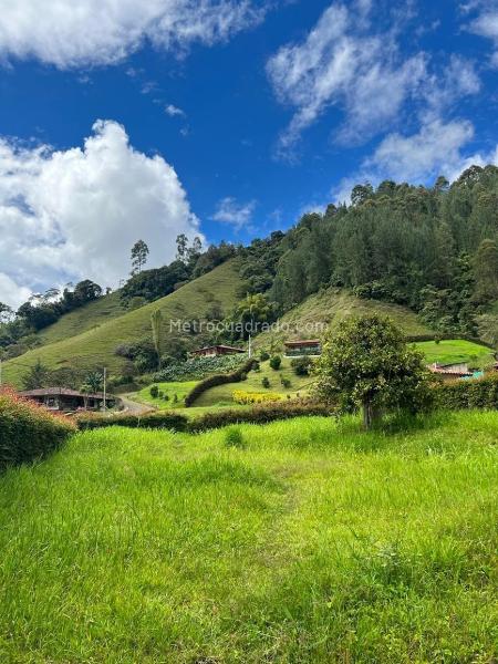 Lote en Venta, El Jardin, Bogotá D.C. - Vista 2