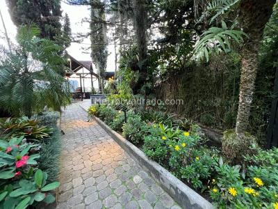 Casa de 3 alcobas en venta en Loma Del Escobero, Envigado, 235 m² · foto 15 de 19