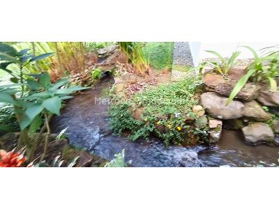 Casa de 4 alcobas en venta en Pance, Cali, 590 m² · foto 8 de 20