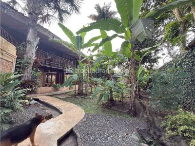 Casa de 5 alcobas en venta en Pance, Cali, 600 m² · foto 6 de 20