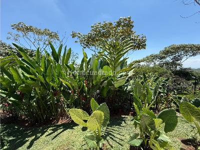 Casa de 5 alcobas en venta en Pance \ Comuna 22, Cali · foto 16 de 20