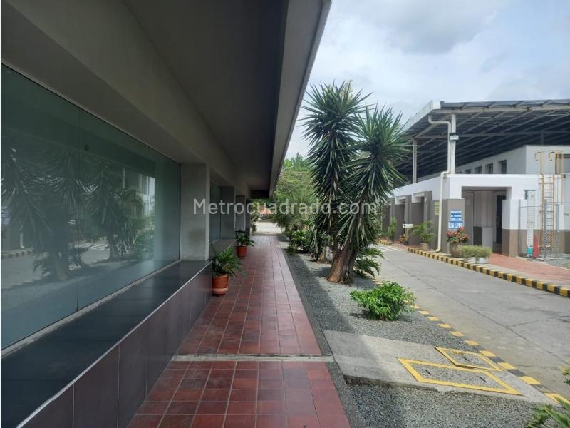 Oficina en Arriendo, Salomia, Cali - Vista 4