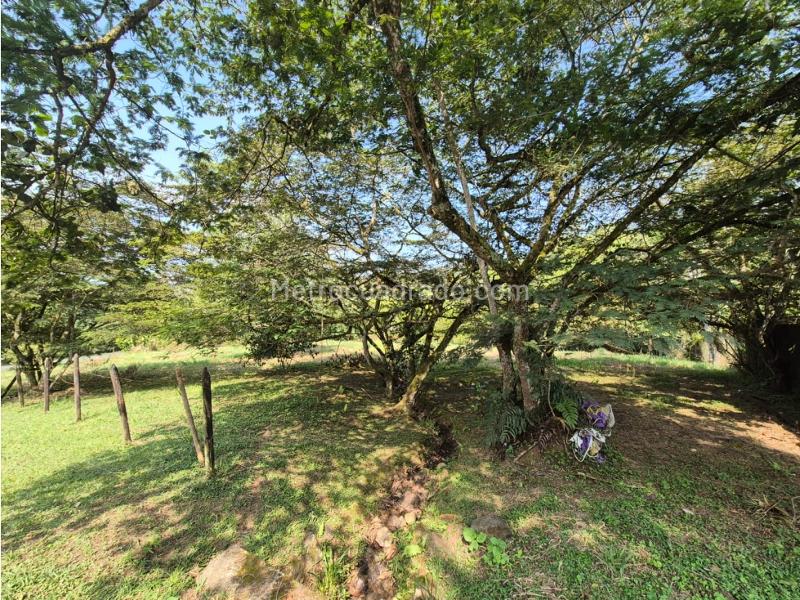 Lote en Venta, Pance, Cali - Vista 3