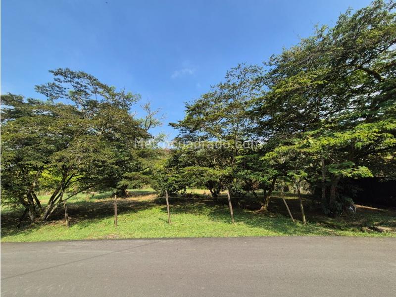 Lote en Venta, Pance, Cali - Vista 4