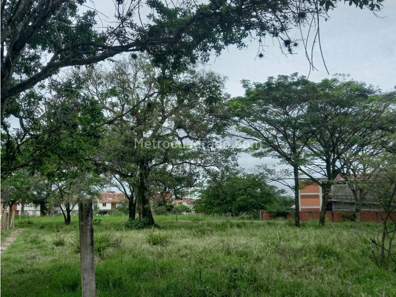 Lote en Venta, Terranova, Jamundi - Más