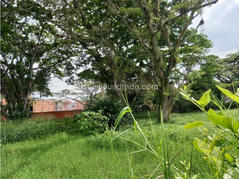 Lote en Venta, La Morada, Jamundi - Vista 4