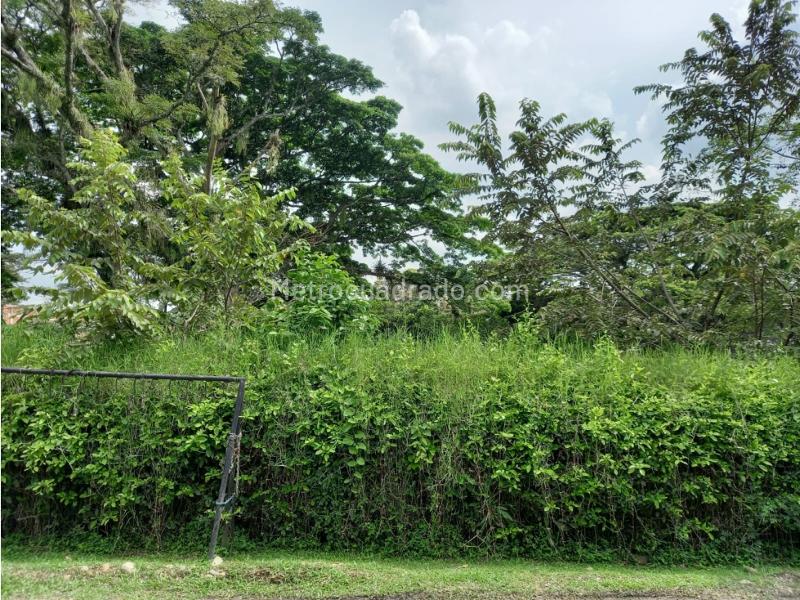 Lote en Venta, La Morada, Jamundi - Más