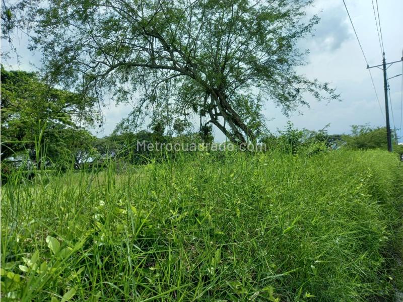 Lote en Venta, La Morada, Jamundi - Vista 3