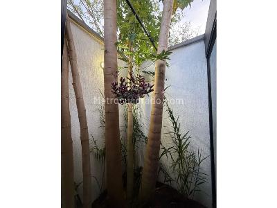 Casa de 3 alcobas en venta en Pance, Cali, 172 m² · foto 5 de 12