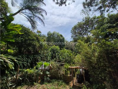 Casa de 5 alcobas en venta en La Reforma, Cali, 1518 m² · foto 15 de 20