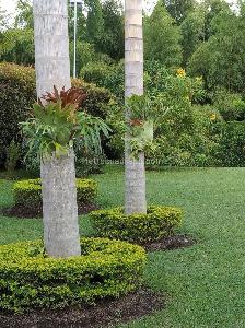 Casa de 3 alcobas en venta en Cnd Campestre San Jose De Las Villas, Pereira, 1750 m² · foto 14 de 20