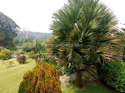 Casa de 4 alcobas en venta en Balcones De Ruitoque Etapa Ii, Floridablanca, 530 m² · foto 7 de 20