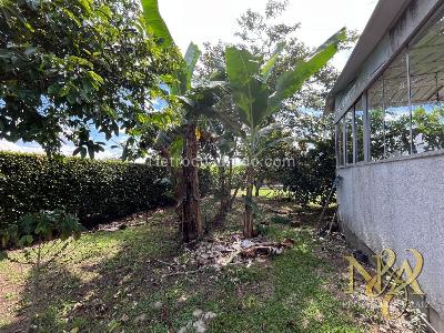 Casa de 4 alcobas en venta en Murillo, Armenia, 200 m² · foto 8 de 20