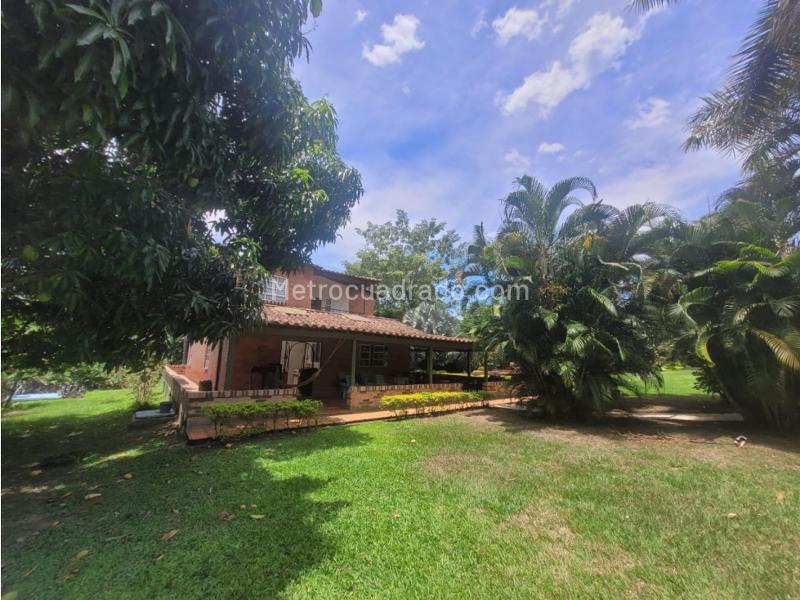 Casa – San Jerónimo, El Rincón - Vista 5
