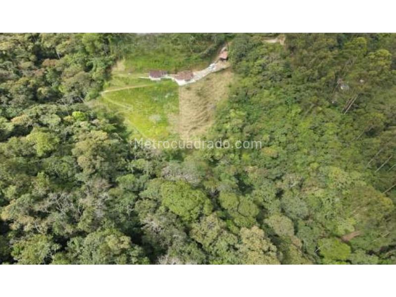 Lote en Venta, Vereda El Vellano La Catedral, Envigado - Vista 2
