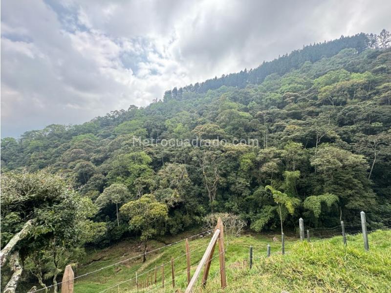 Lote en Venta, Vereda El Vellano La Catedral, Envigado - Vista 3