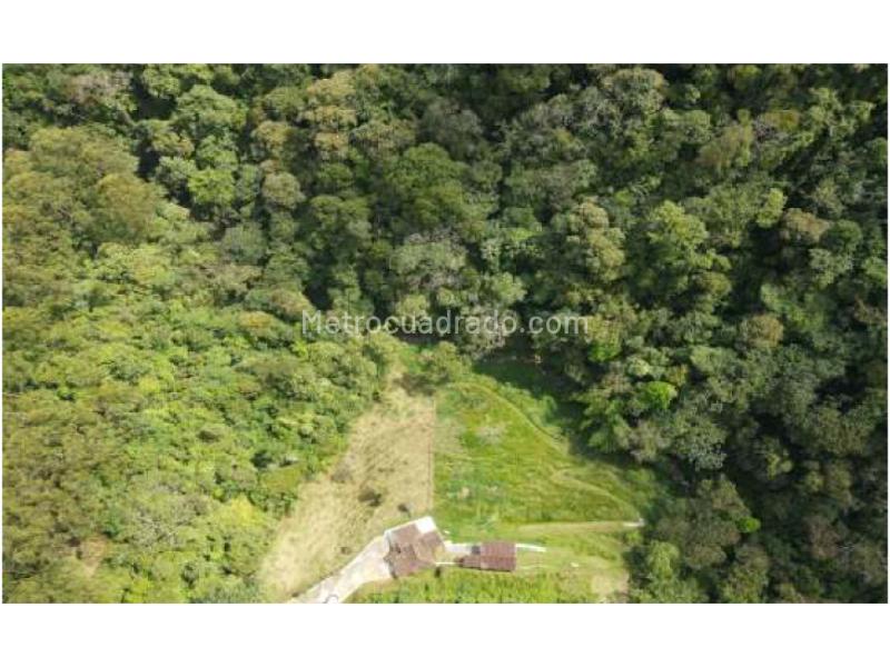 Lote en Venta, Vereda El Vellano La Catedral, Envigado - Vista 4