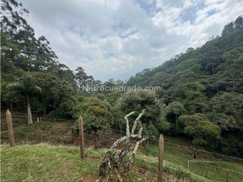 Lote en Venta, Vereda El Vellano La Catedral, Envigado - Vista 5