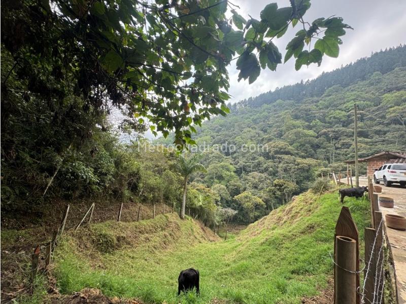 Lote en Venta, Vereda El Vellano La Catedral, Envigado - Más