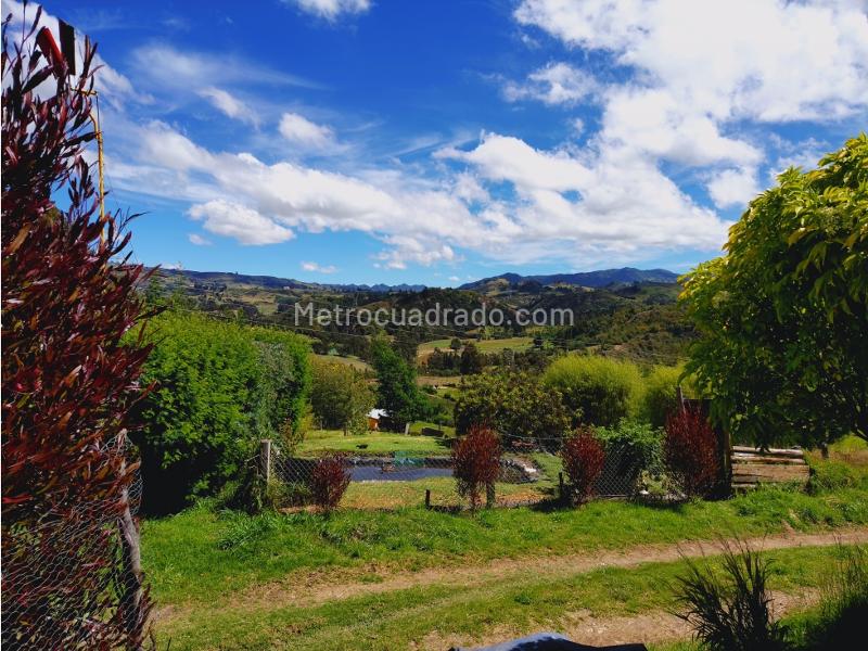 Casa – Carmen de Carupa - Vista 5