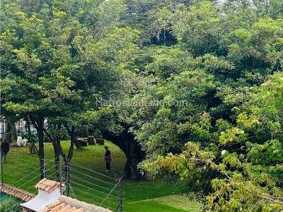 Casa en venta en Cedritos, Bogotá · foto 18 de 20
